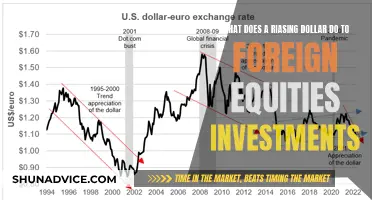 The Rising Dollar's Impact on Foreign Equity Investments: A Global Perspective