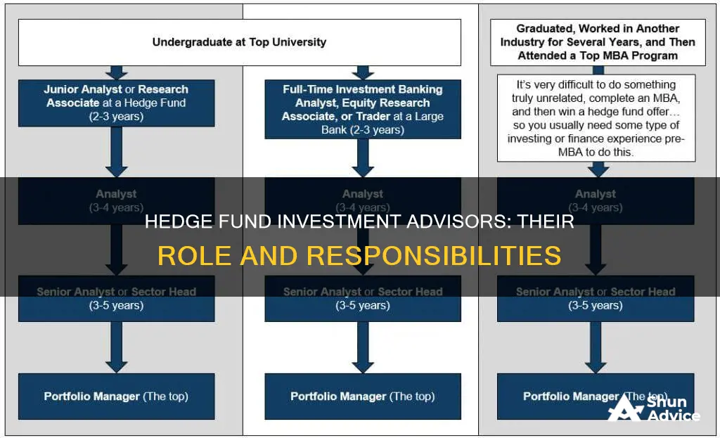 what does an investment advisor at a hedge fund do