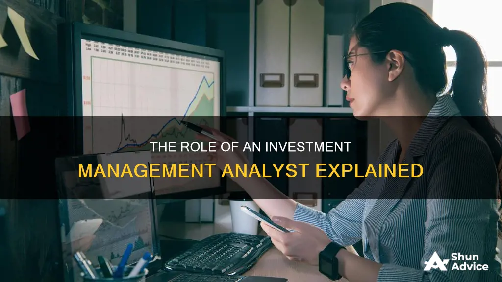 what does an investment management analyst do