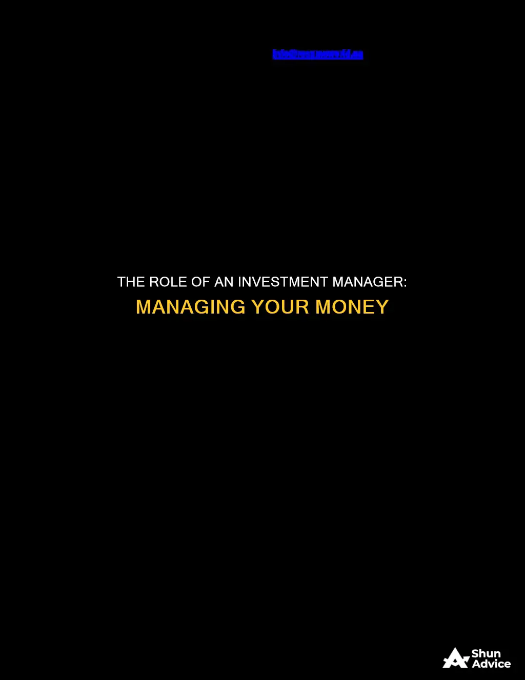 what does an investment manager do