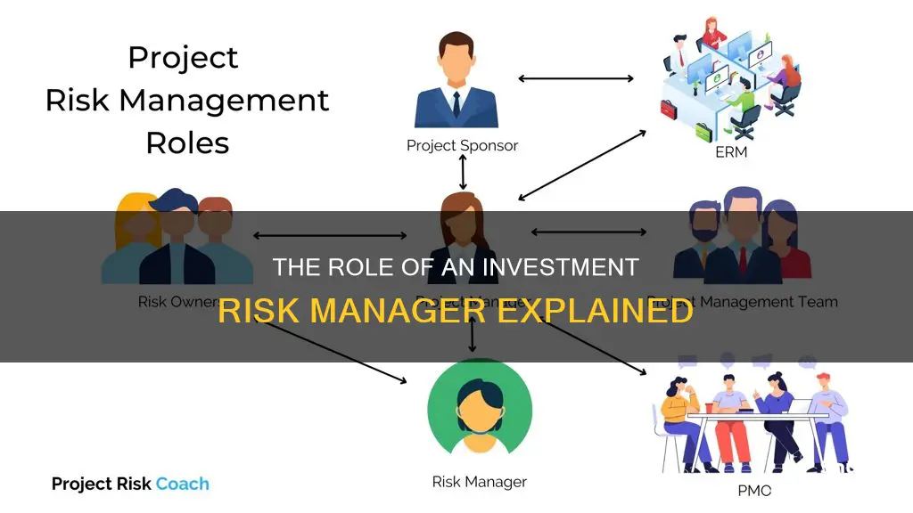 what does an investment risk manager do