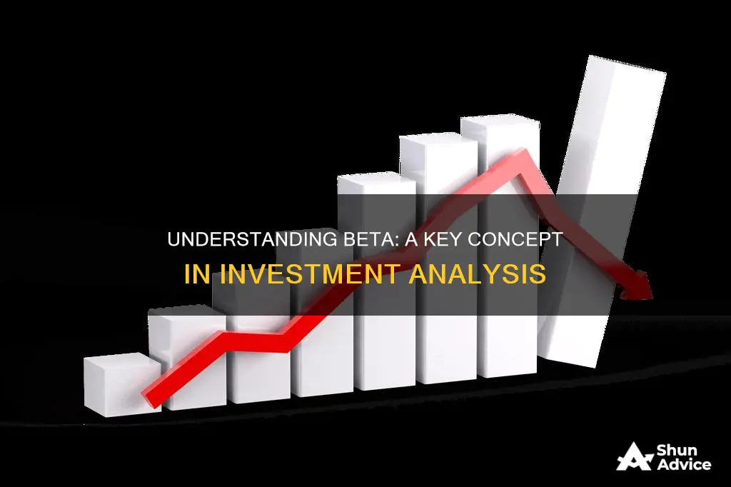 what does beta mean in investment terms