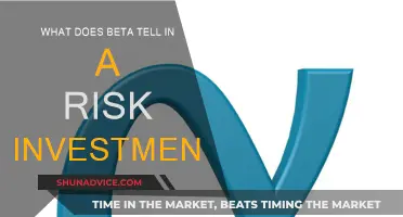 Understanding Risk Investment: Beta's Role Explained