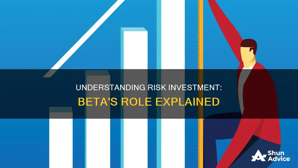 what does beta tell in a risk investment