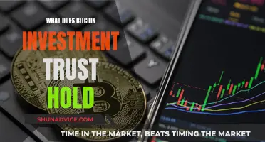 Understanding the Holdings of Bitcoin Investment Trust