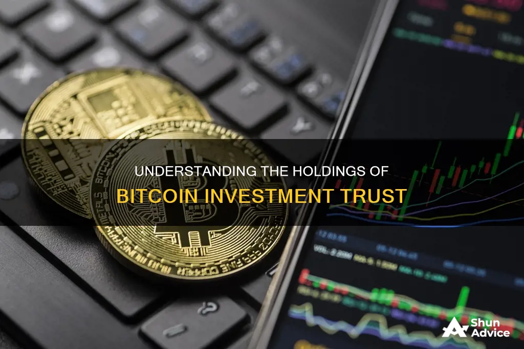 what does bitcoin investment trust hold