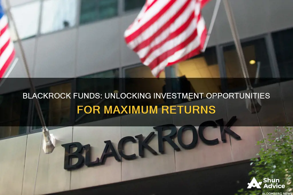 what does blackrock funds invest in