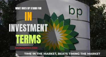 Unraveling the Mystery: BP in Investment Context