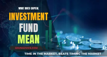 Understanding Capital Investment Funds: A Beginner's Guide