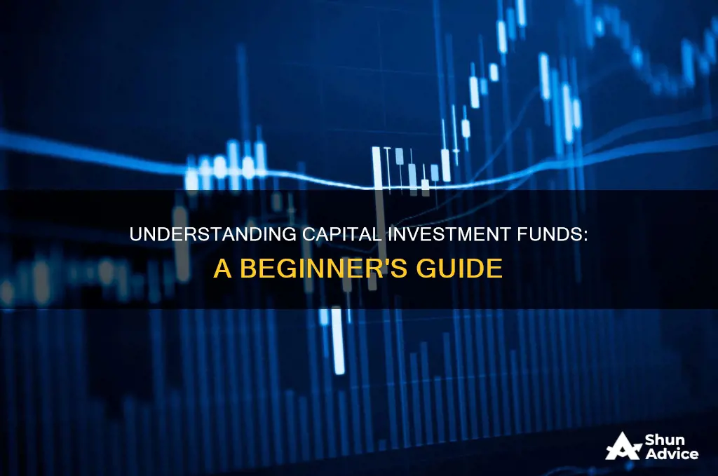 what does capital investment fund mean