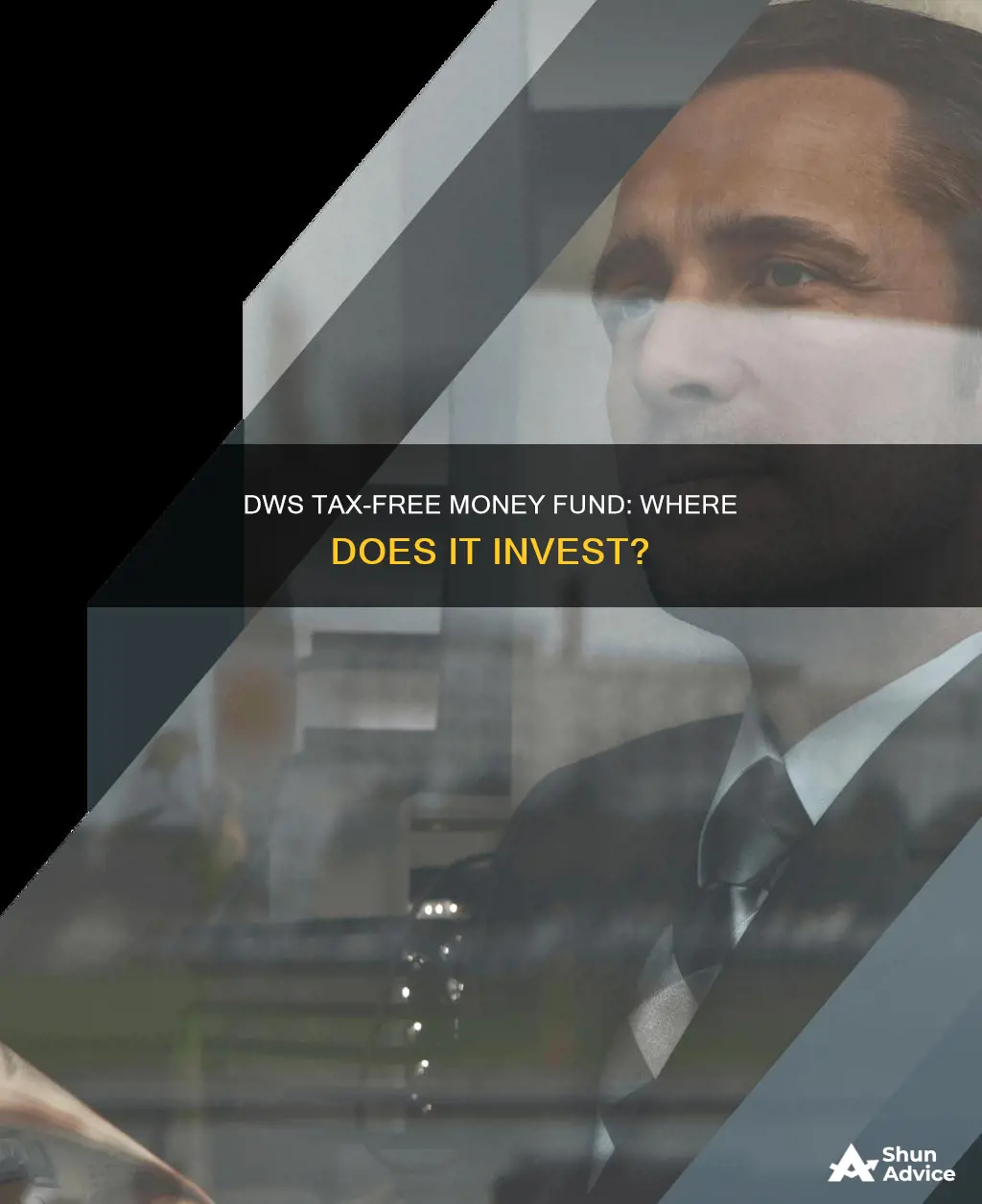 what does dws tax-free money fund invest in