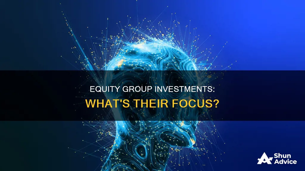 what does equity group investments do