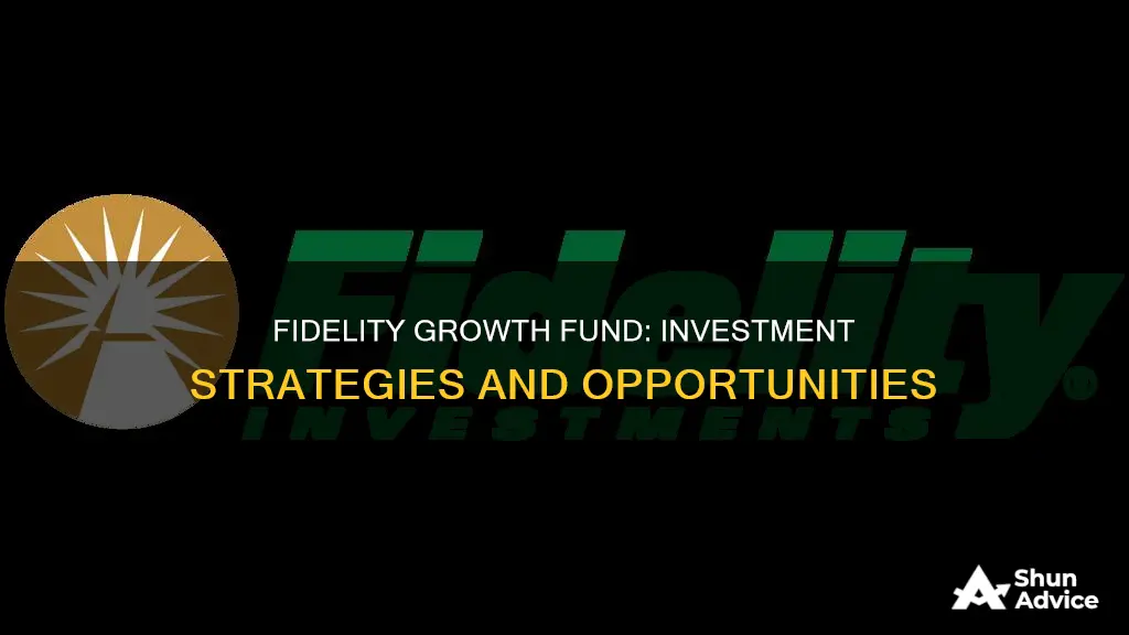 what does fidelity growth funds invest in