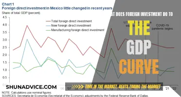 Foreign Investment's Impact: Boosting GDP Growth and Economic Development