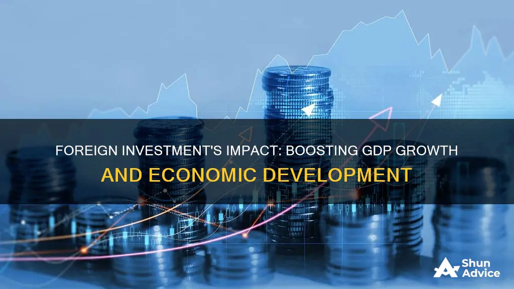 what does foreign investment do to the gdp curve