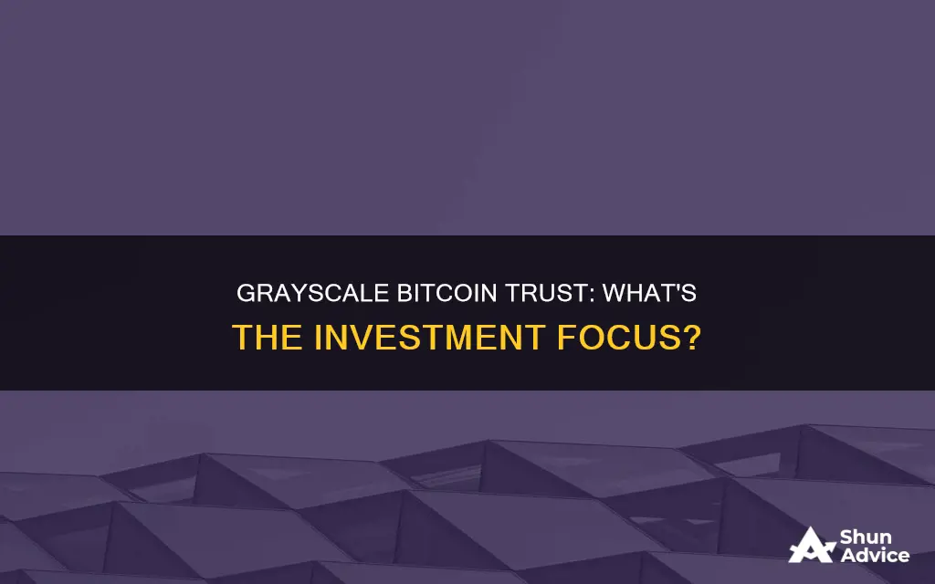 what does grayscale bitcoin trust invest in