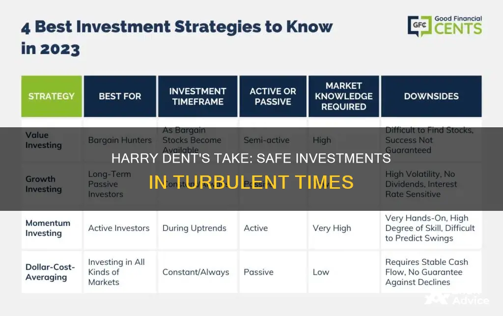 what does harry dent thimk is the safe investment currently