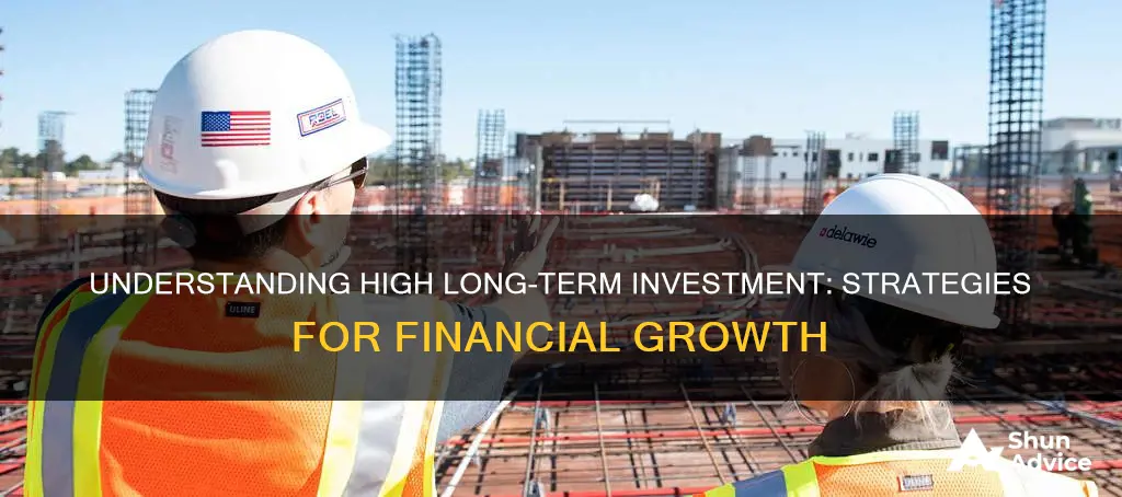 what does high long term investment mean