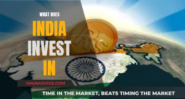 India's Investment Focus: Where Does the Country's Money Go?