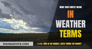 Unraveling the Weather Investment: Understanding 'Invest' in Meteorology