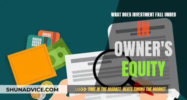 Understanding Investment's Role in Owner's Equity