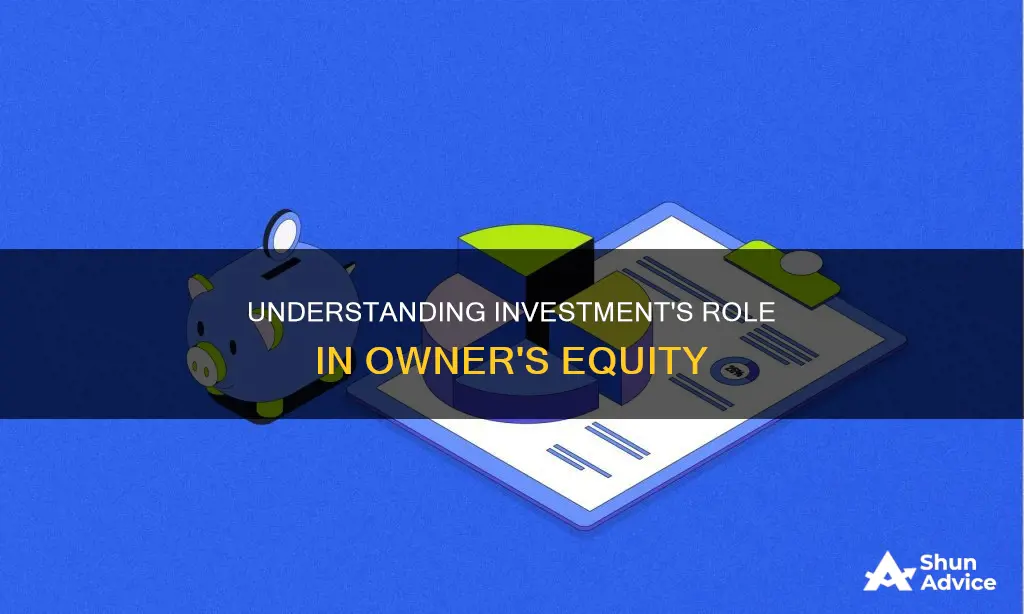 what does investment fall under in owner