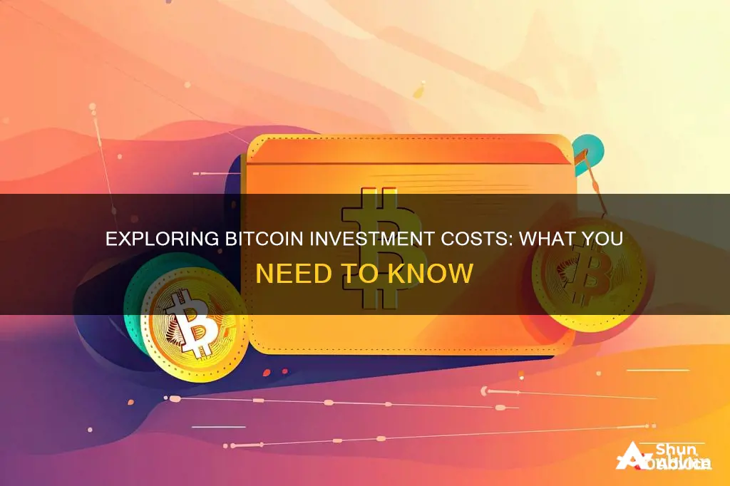 what does it cost to invest in bitcoin