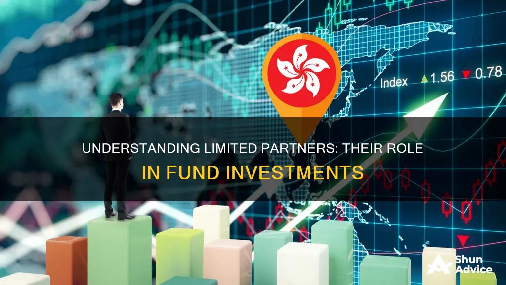 what does limited partner mean in a fund investment