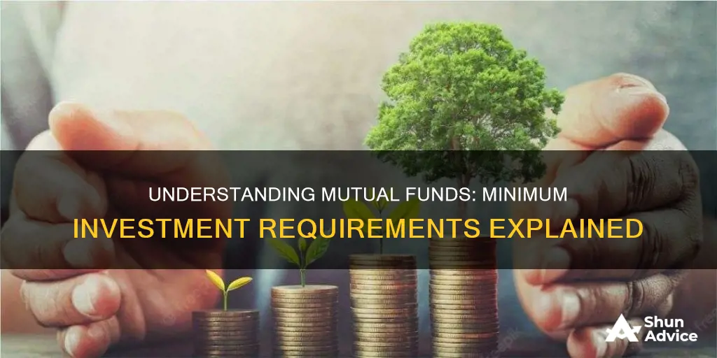 what does minimum investment mean in mutual funds