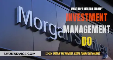 Morgan Stanley Investment Management: Strategies and Services