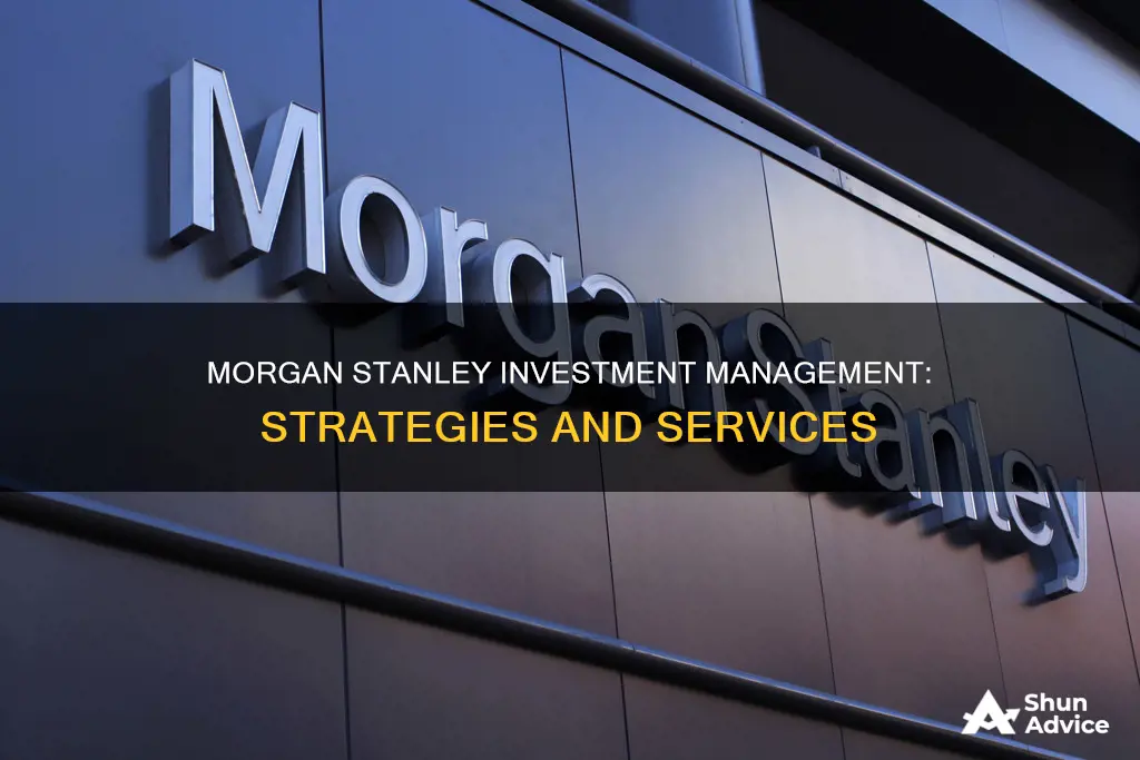 what does morgan stanley investment management do