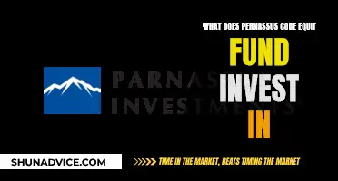 Exploring the Investment Strategy of Pernassus Core Equity Fund