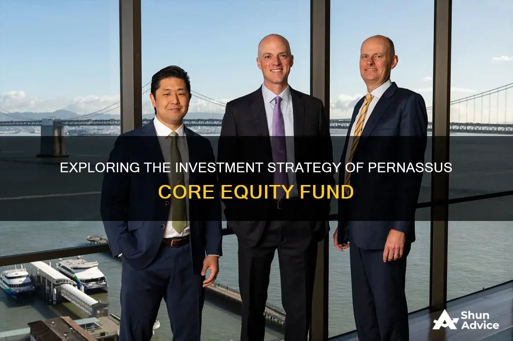 what does pernassus core equit fund invest in