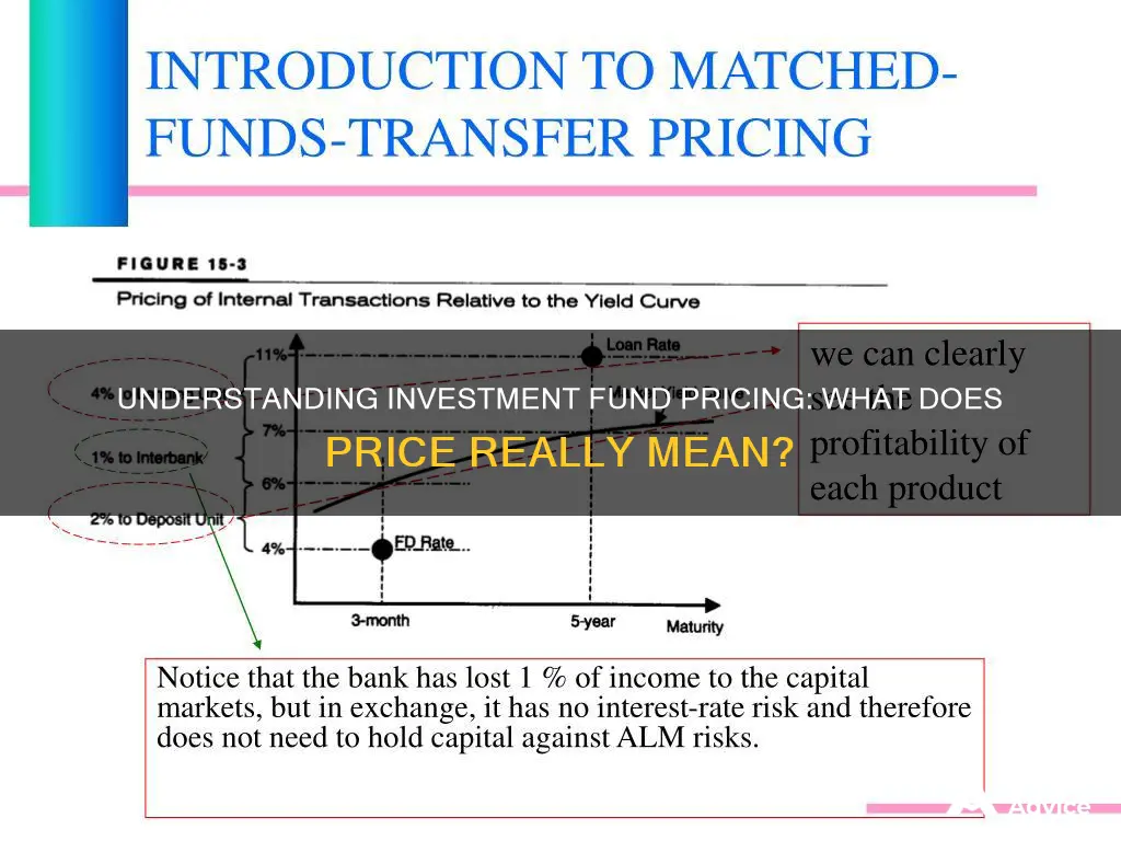 what does price mean in investment fund