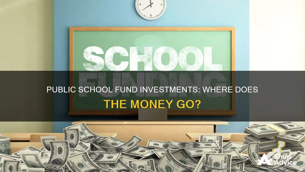 what does public school fund invest in