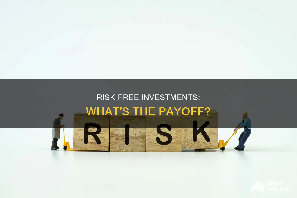 what does risk free investment pay