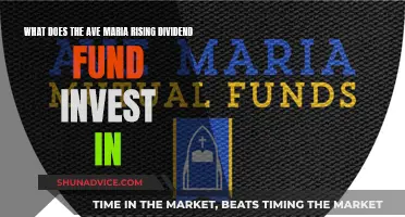 Ave Maria Rising Dividend Fund: Investment Strategies Explained