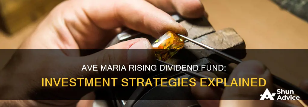 what does the ave maria rising dividend fund invest in