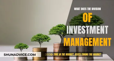 The Investment Management Division: Roles and Responsibilities