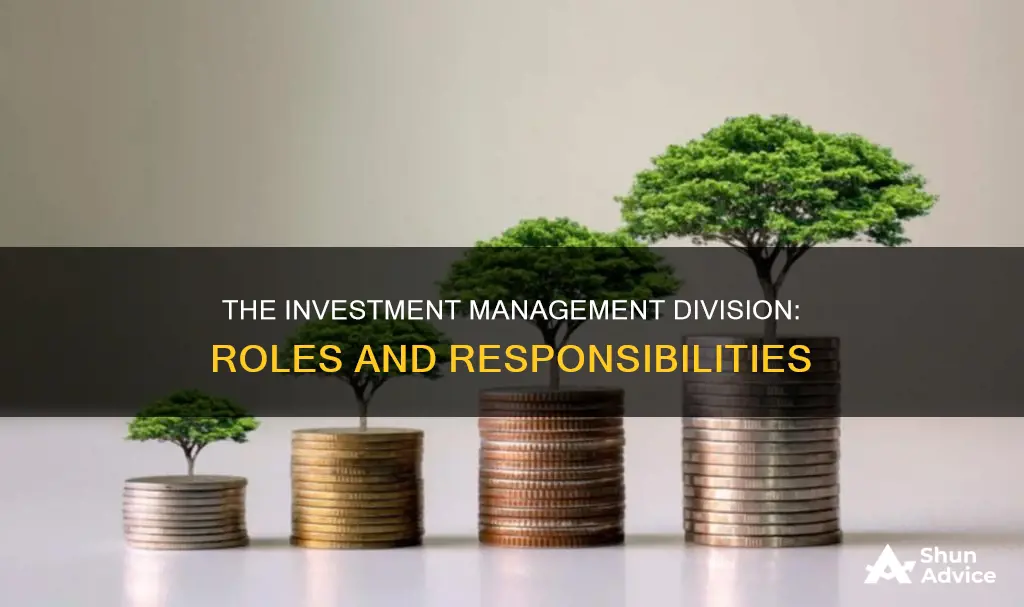 what does the division of investment management