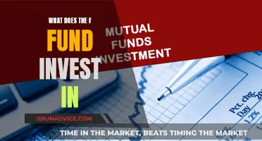 The F Fund: Investing in Government Securities