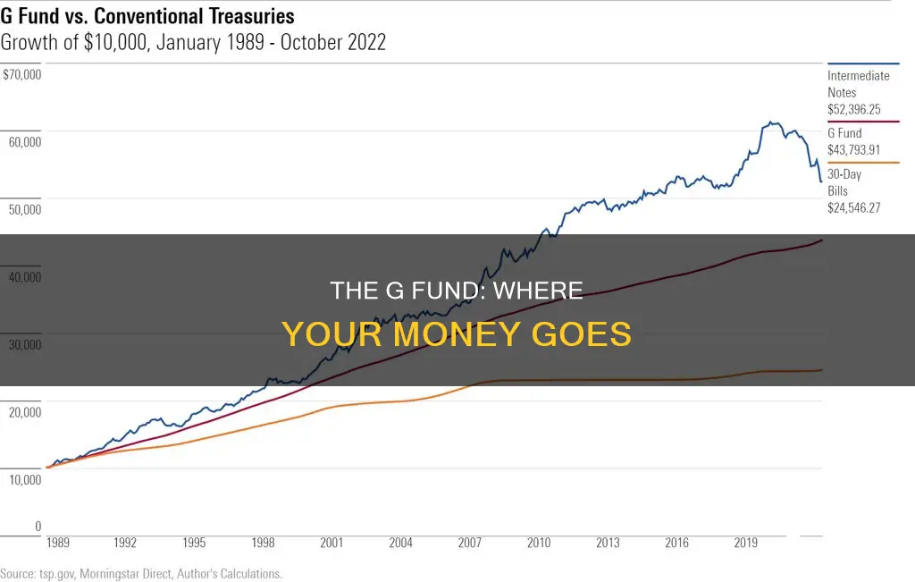 what does the g fund invest in