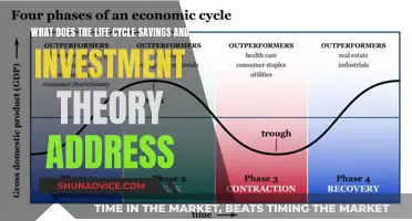 Life Cycle Theory: Savings and Investment Strategies Explored