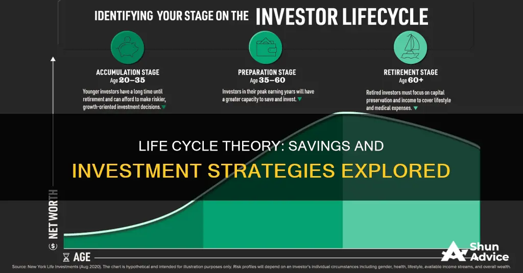 what does the life cycle savings and investment theory address