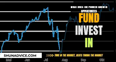 Growth Opportunities: Pioneer's Investment Strategy Explored