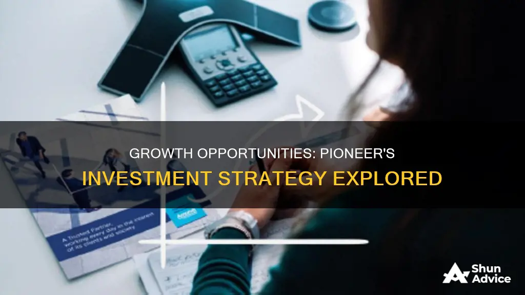 what does the pioneer growth opportunites fund invest in