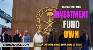 Saudi Investment Fund: A Global Reach and Ownership