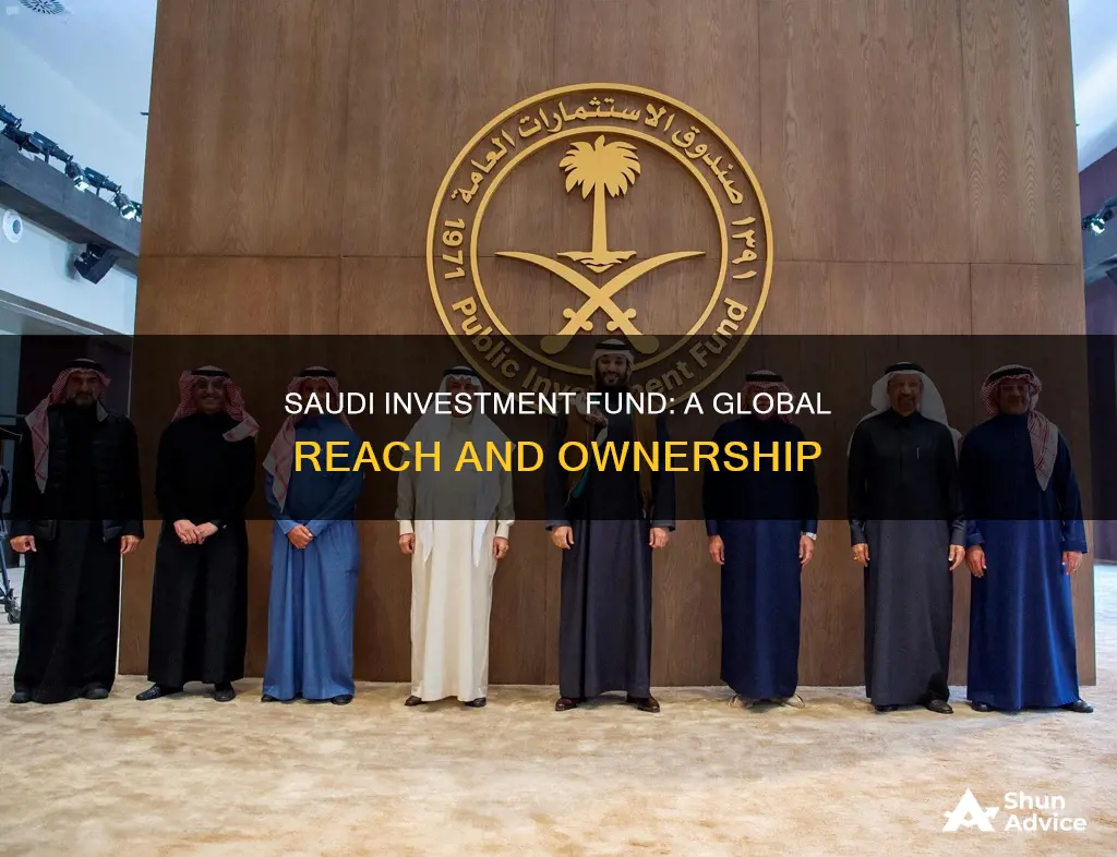 what does the saudi investment fund own