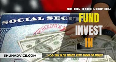 Social Security Trust Fund: Where Does It Invest?