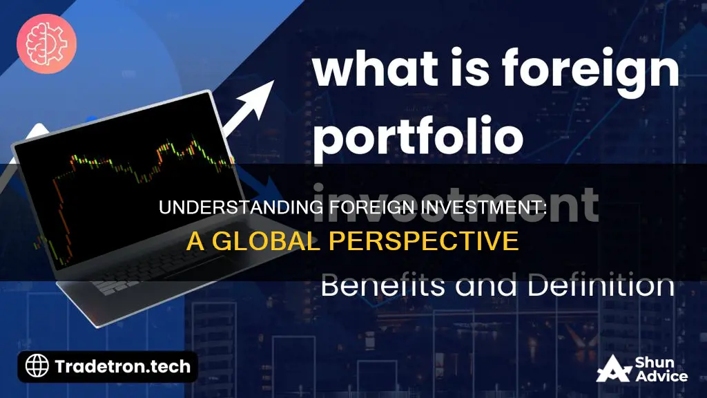 what does the term foreign investment mean